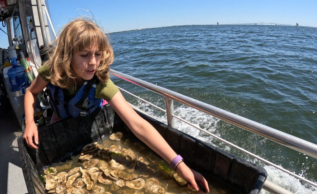 A young girl in a life jacket leans over a black tub of oysters on board a boat while a distant bridge stretches across the horizon.