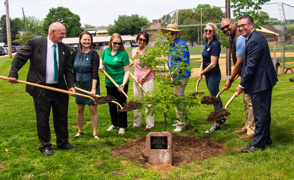 A group of smiling people hold gold shovels with dirt as the stand around a tree sapling with a plaque in front of it.