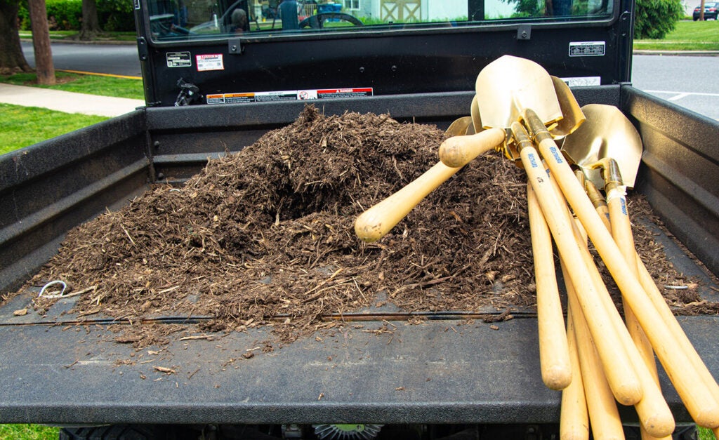 Dirt and mulch and a collection of gold shovels lie in the back of a truck bed.