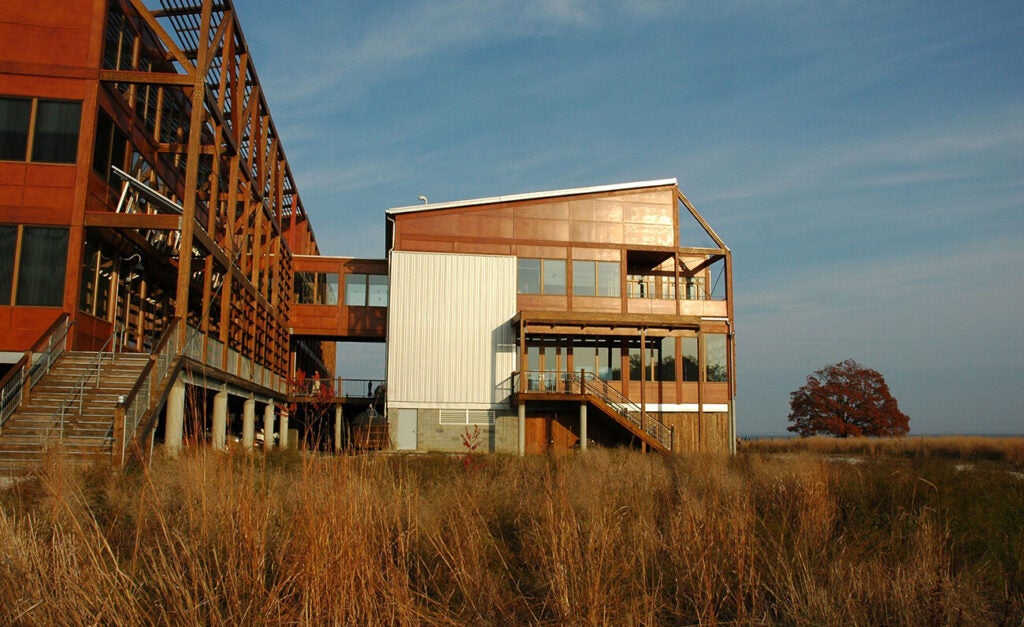 Side view of the back of CBF's Philip Merrill Environmental Center shows two connected buildings and louvers that overhang the exterior to provide shade.