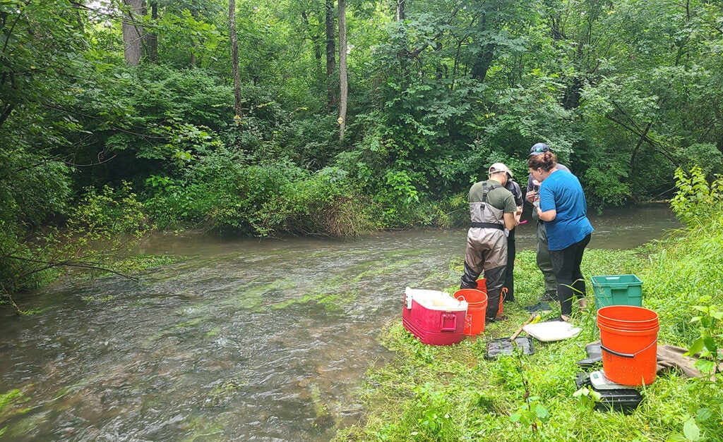 Four people in waders stand on a grassy bank beside a shallow, tree-lined stream amid orange buckets.
