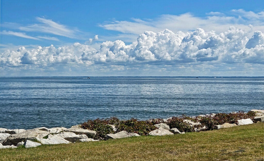 A beautiful shot of a calm bay from the shoreline, with white puffy clouds overhead.