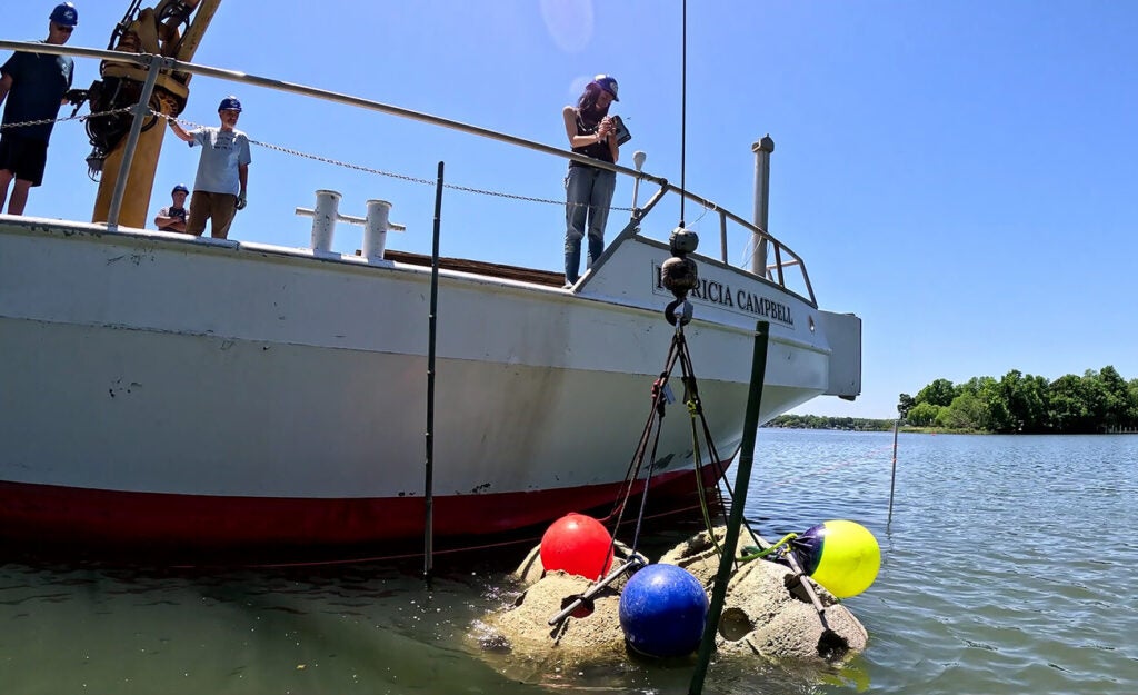 A woman on the bow of the vessel "Patricia Campbell" checks a device while reef balls with colorful buoys are lowered into the water.