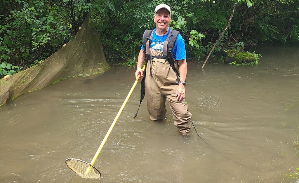 A smiling man in waders stands knee-deep in a muddy stream holding a long-handled net with dense green foliage and a net barrier along the bank behind him.