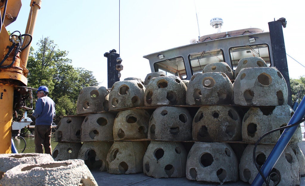 Dozens of concrete reef balls are stacked three high on the deck of the Patricia Campbell.