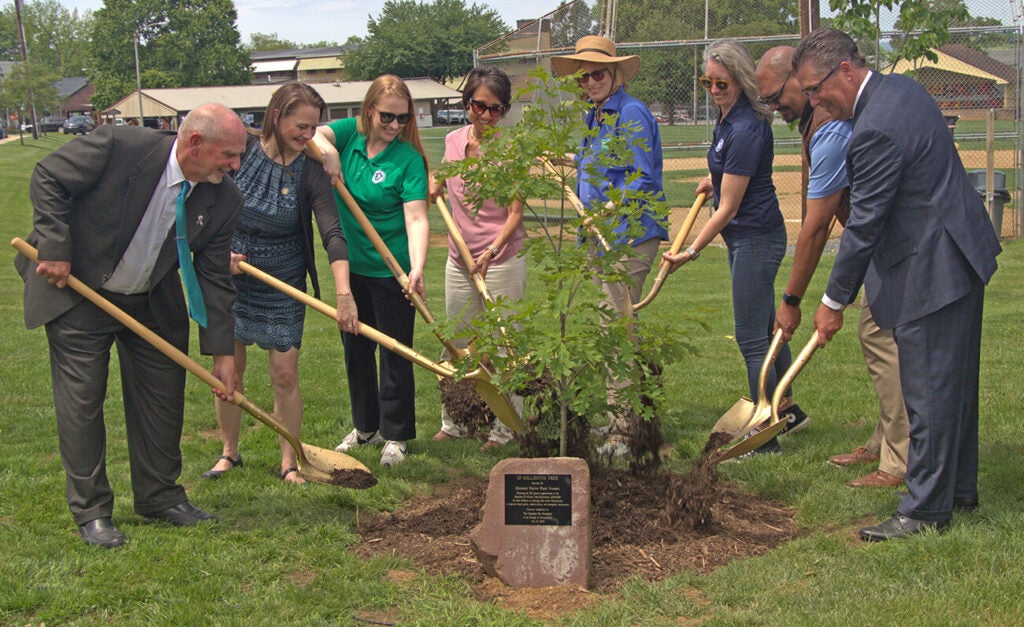 A group of smiling people use gold shovels to place dirt around a tree sapling with a plaque in front of it.