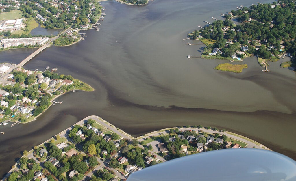 An aerial photo captures dark, murky algal bloom plumes dispersing through a wide river channel bordered by residential neighborhoods and lush greenery.