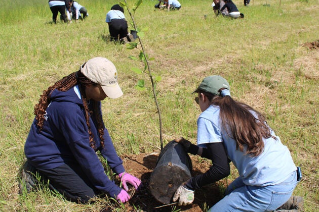 Two volunteers kneel in a grassy field and plant a tree sapling while other volunteers work behind them.