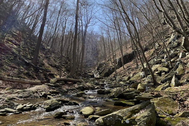 A rocky stream flows through a forested ravine with moss-covered boulders and bare trees.
