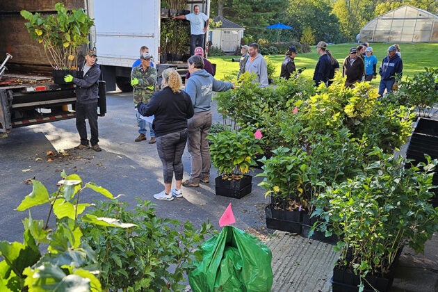 Volunteers line up for potted trees and shrubs at a community planting event.