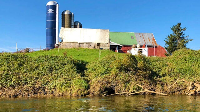A farm with multiple silos and a multi-colored barn sits on a hillside above Pequea Creek with a vegetated buffer along the waterway.