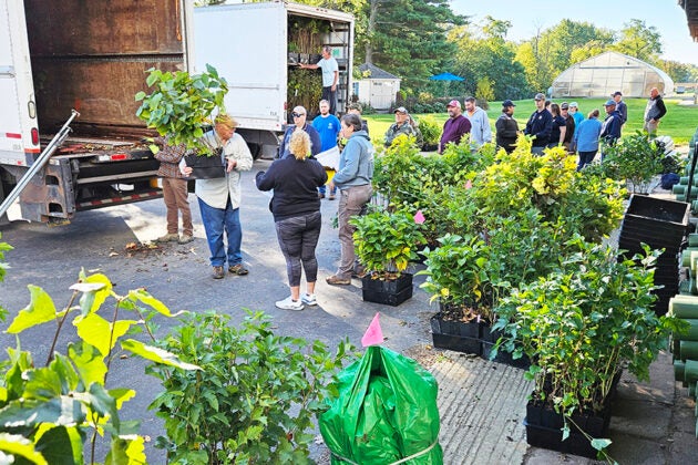 Volunteers line up for potted trees and shrubs at a community planting event.