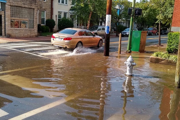 A car drives through floodwater on a street past a fire hydrant partially submerged in the water.