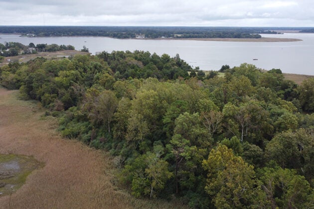 An aerial view of a living shoreline with dense forest buffering between tidal marshes and the bay waters.