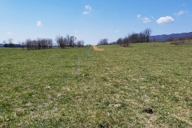 Green pasture at Funkhouser Farm with newly planted saplings, forested areas, and mountains visible in the distance under blue sky.