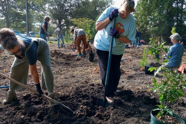 Volunteers use shovels to prepare soil for tree planting at a community event, with young potted trees ready to be planted.