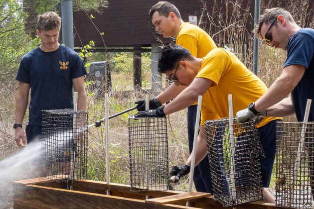 Navy sailors work together to assemble wire mesh tree protection cages at the Brock Environmental Center restoration site.
