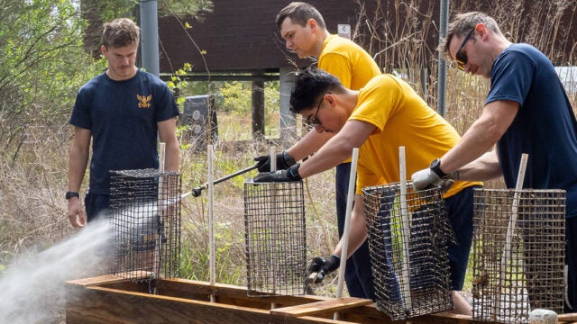 Navy sailors work together to assemble wire mesh tree protection cages at the Brock Environmental Center restoration site.