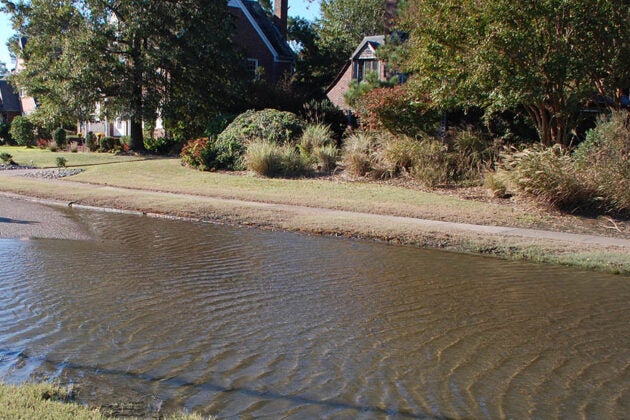 Floodwaters cover a residential street and lawns with houses visible in the background.