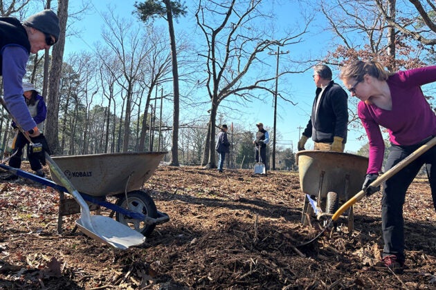 Volunteers using wheelbarrows and tools to prepare the ground for tree planting.