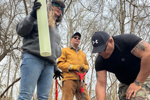Three volunteers working together to plant a tree sapling with a protective tube around it.