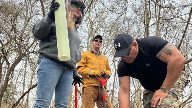 Three volunteers working together to plant a tree sapling with a protective tube around it.