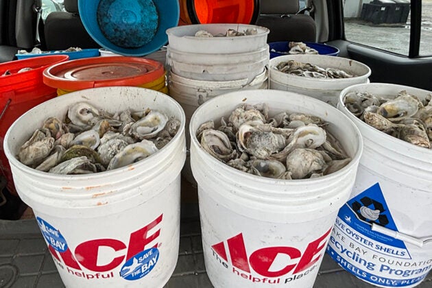 A closeup of multiple buckets filled with ouster shells