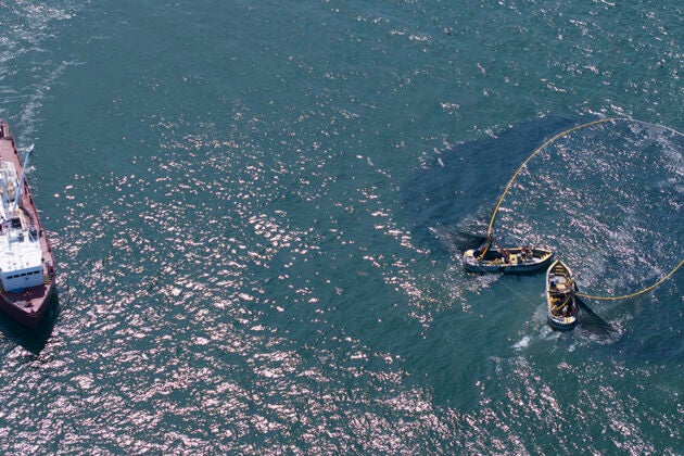 An aerial view of a boat purse seining menhaden