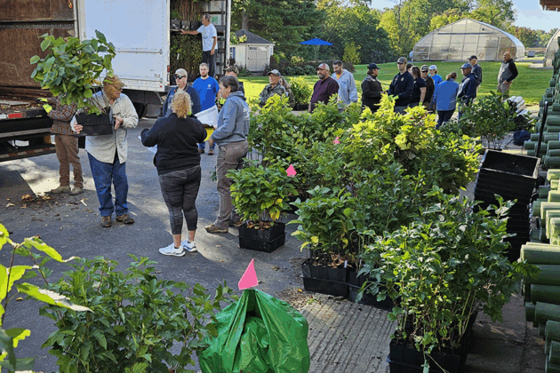 Volunteers line up for potted trees at a community planting event.