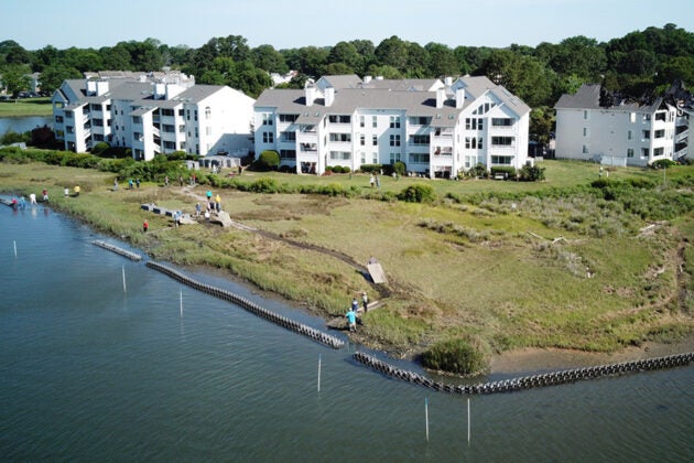 Aerial view of a living shoreline restoration project on a peninsula near residential buildings.