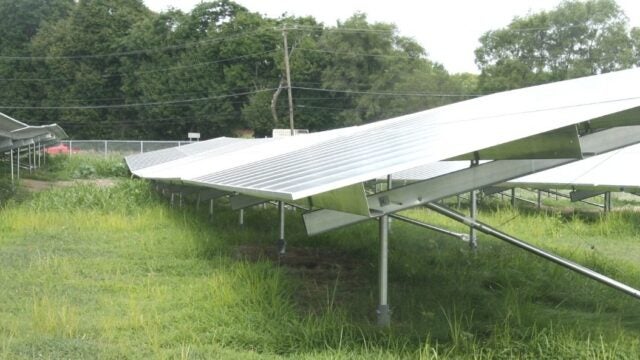 Solar panel arrays mounted on metal frames in a grassy field.