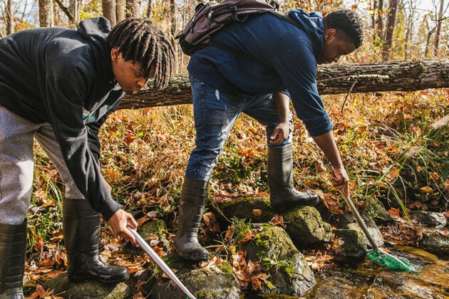 Two people in waders conduct stream monitoring in a creek during autumn.