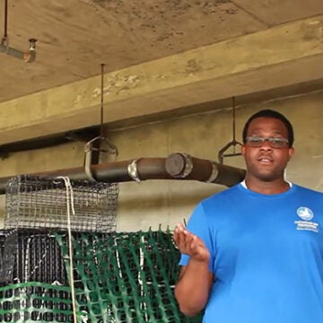A man in a blue CBF t-shirt stands in front of stacks of oyster gardening cages.