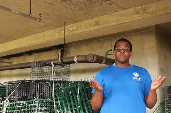 A man in a blue CBF t-shirt stands in front of stacks of oyster gardening cages.