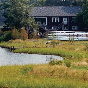 A marshy area flanks a cove, a grassy yard, and a building.