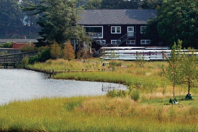 A marshy area flanks a cove, a grassy yard, and a building.