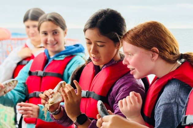Four female students in red life jackets examine a variety of fish.