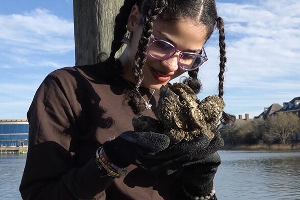 A young girl looks closely at a clump of oysters just pulled from the Bay.