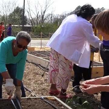Women prepare a raised bed for planting.