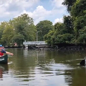 Students in blue and red personal flotation devices paddle a stream in green canoes with the names Raccoon and Red Fox.