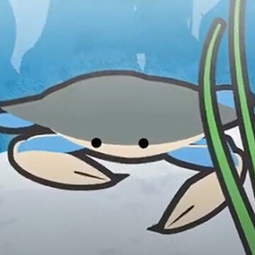 Screenshot of an animated blue crab behind underwater grasses.