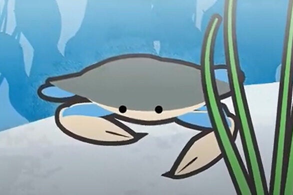 Screenshot of an animated blue crab behind underwater grasses.