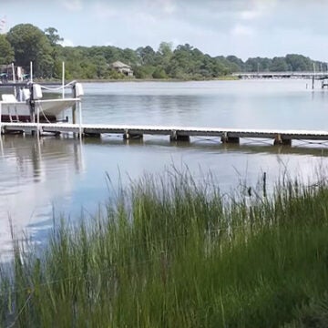 A living shoreline of Bay grasses flanks a dock on a river.
