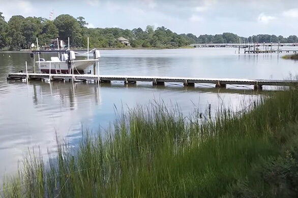 A living shoreline of Bay grasses flanks a dock on a river.
