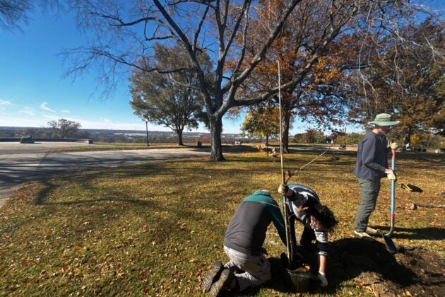 People planting a tree together in Chimborazo Park in Richmond