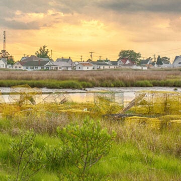 A tranquil coastal marsh at sunset dotted with stacked yellow crab traps in the foreground and a small town—complete with a water tower and church steeple—lining the distant shore.