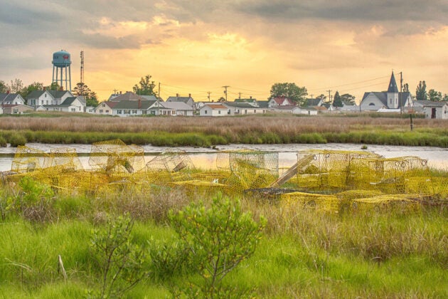 A tranquil coastal marsh at sunset dotted with stacked yellow crab traps in the foreground and a small town—complete with a water tower and church steeple—lining the distant shore.