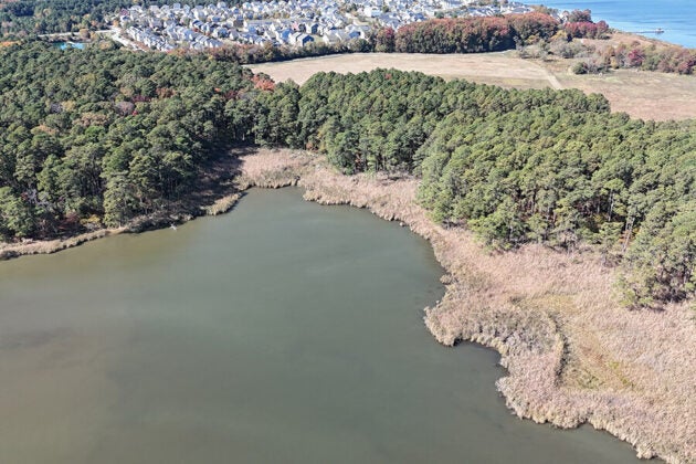 An aerial view of a river with a beach and forested land