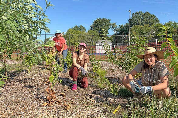 Three women working amid newly planted trees and shrubs smile at the camera.