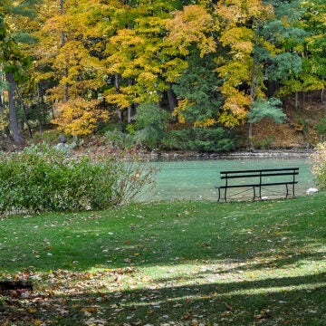 A bench overlooks a lake running through a park full of trees.